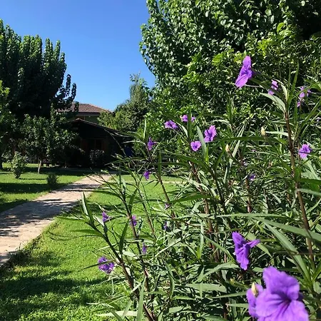 Tatil parkı Ozge 2*
