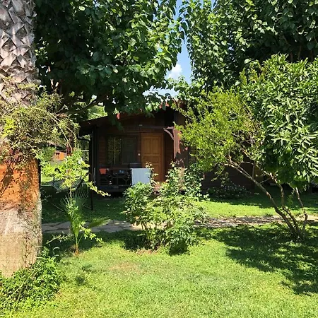 Tatil parkı Ozge 2*