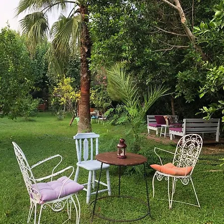 Ozge Çıralı