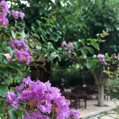 Tatil parkı Ozge